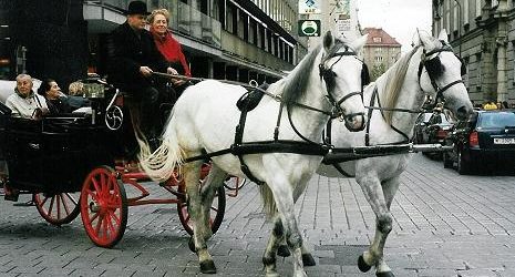 Vienne, le long du danube